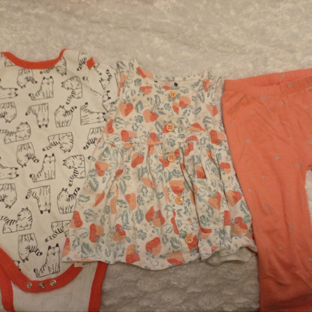18 month Bundle